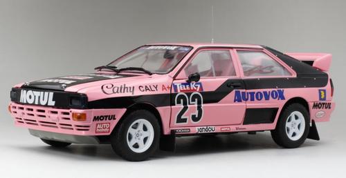 SUNSTAR 1:18 AudiQuattro A1 French 1987 Rallycross championship Cathy Caly 1/999